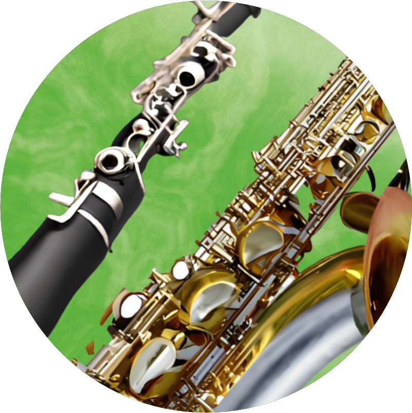 SAXO - CLARINETE - FLAUTA TRAVESERA